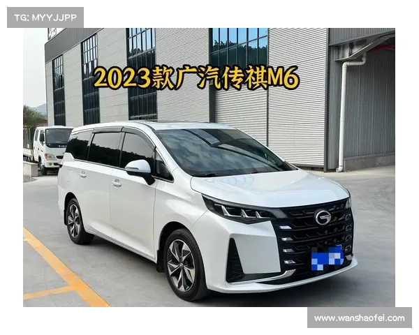 传祺M6:奶爸福音!7座大空间,12万级家用MPV实力选手 传祺M6:奶爸福音!7座大空间,12万级家用MPV实力选手