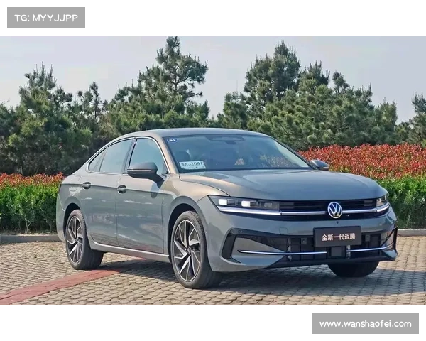 全新一代迈腾的安全性能有了更深的认识 全新一代迈腾的安全性能有了更深的认识