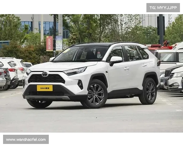 全新丰田RAV4荣放降价增配,全系标配L2级智驾,三种动力可选 全新丰田RAV4荣放降价增配,全系标配L2级智驾,三种动力可选
